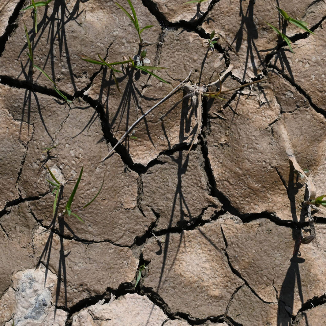Terreni limosi perdits struttura impermeabilizzazione laboratori analisi Ecosistemi Piacenza uai Terreni limosi perdits struttura impermeabilizzazione laboratori analisi Ecosistemi Piacenza Ecologia del suolo Conservazione Ecologia del suolo Terreni limosi perdits struttura impermeabilizzazione laboratori analisi Ecosistemi Piacenza uai Terreni limosi perdits struttura impermeabilizzazione laboratori analisi Ecosistemi Piacenza ECOSISTEMI Ecologia del suolo