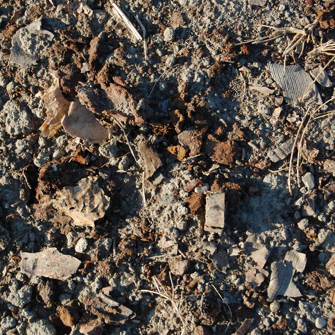 Terreno agricolo contaminato rifiuti fluff laboratorio analisi Ecosistemi Piacenza bonifiche uai Terreno agricolo contaminato rifiuti fluff laboratorio analisi Ecosistemi Piacenza bonifiche Ecologia del suolo Conservazione Ecologia del suolo Terreno agricolo contaminato rifiuti fluff laboratorio analisi Ecosistemi Piacenza bonifiche uai Terreno agricolo contaminato rifiuti fluff laboratorio analisi Ecosistemi Piacenza bonifiche ECOSISTEMI Ecologia del suolo
