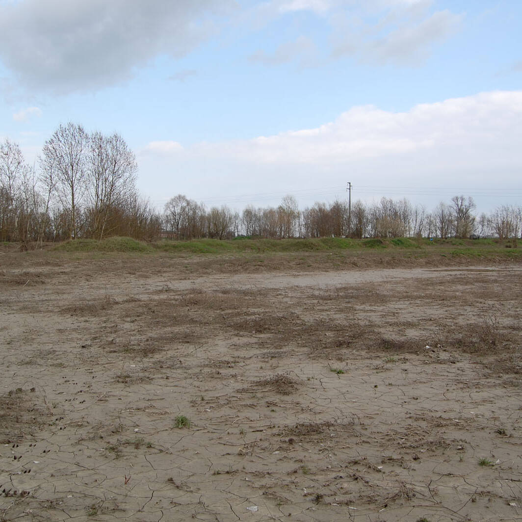 Terreno alluvionato crostosita impermeabilizzazione suoli laboratorio chimico fisico analisi Ecosistemi Piacenza uai Terreno alluvionato crostosità impermeabilizzazione suoli laboratorio chimico fisico analisi Ecosistemi Piacenza Ecologia del suolo Conservazione Ecologia del suolo Terreno alluvionato crostosita impermeabilizzazione suoli laboratorio chimico fisico analisi Ecosistemi Piacenza uai Terreno alluvionato crostosità impermeabilizzazione suoli laboratorio chimico fisico analisi Ecosistemi Piacenza ECOSISTEMI Ecologia del suolo