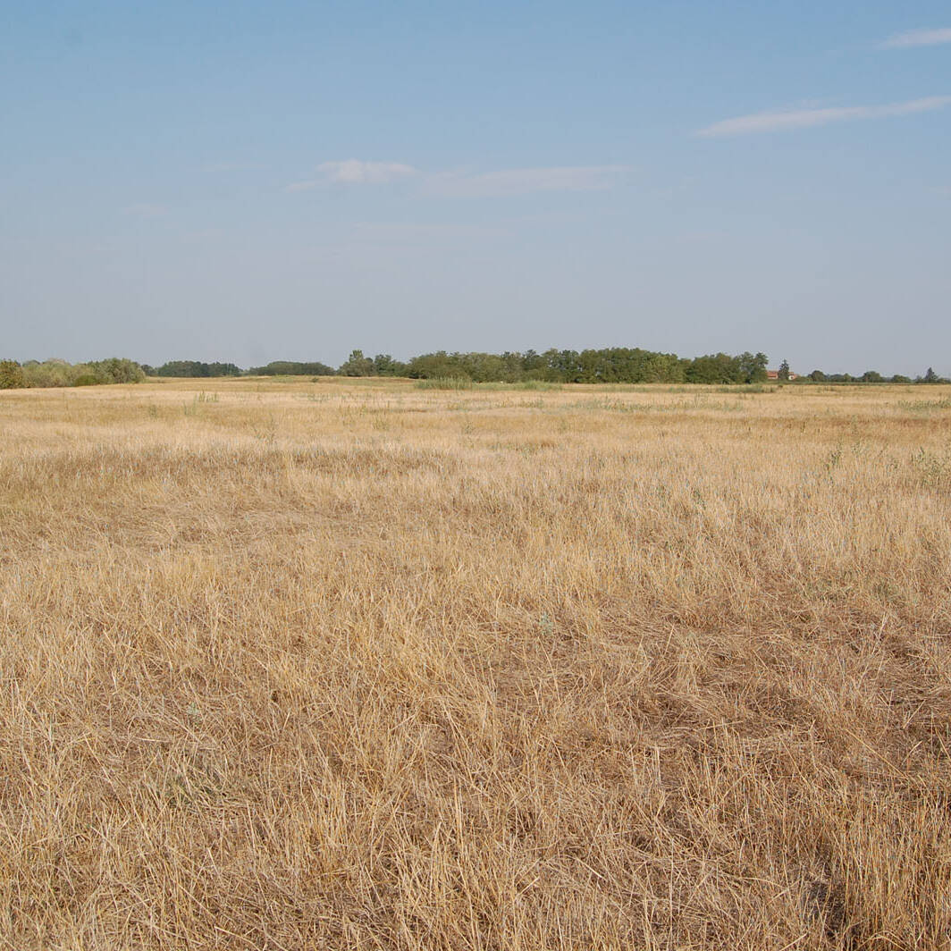 Terreno di copertura discarica degradato desertificato laboratorio analisi suoli Ecosistemi Piacenza uai Terreno di copertura discarica degradato desertificato laboratorio analisi suoli Ecosistemi Piacenza Ecologia del suolo Conservazione Ecologia del suolo Terreno di copertura discarica degradato desertificato laboratorio analisi suoli Ecosistemi Piacenza uai Terreno di copertura discarica degradato desertificato laboratorio analisi suoli Ecosistemi Piacenza ECOSISTEMI Ecologia del suolo