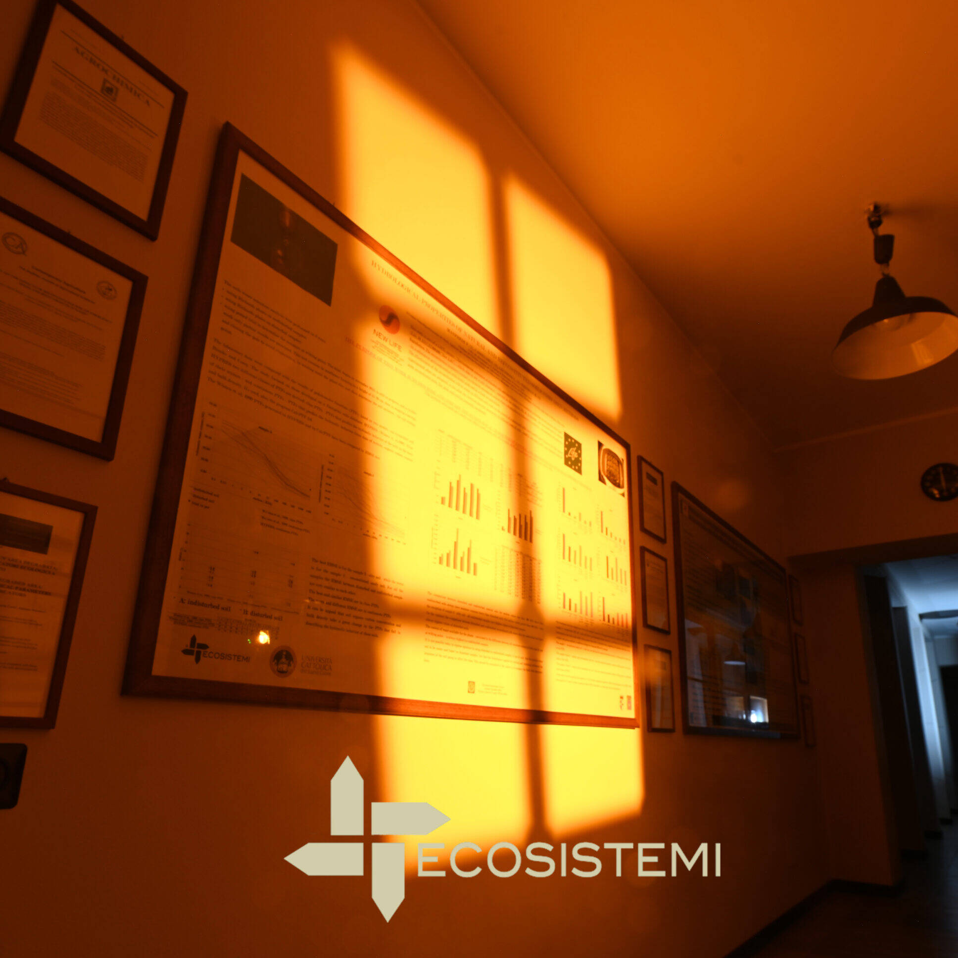 Anagrafe Nazionale Ricerche mcm Ecosistemi uai Iscrizione di Ecosistemi nell’ Anagrafe Nazionale delle Ricerche Laboratorio analisi, Ecosistemi, Laboratorio ricerca, Ricostituzione - pedotecnologia ecosistemi,m.c.m. Ecosistemi Anagrafe Nazionale Ricerche mcm Ecosistemi uai Iscrizione di Ecosistemi nell’ Anagrafe Nazionale delle Ricerche ECOSISTEMI ecosistemi,m.c.m. Ecosistemi