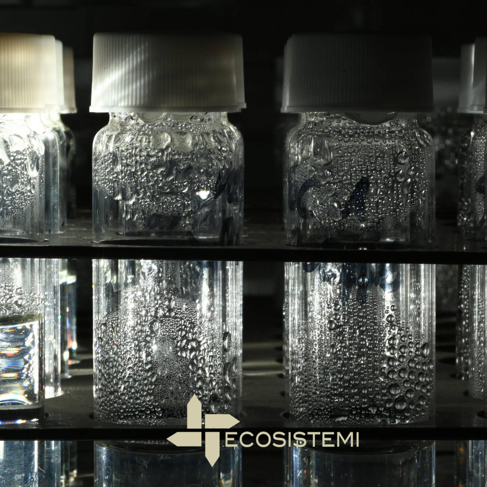 Laboratorio Eccellenza Analisi mcm Ecosistemi BOD COD TOC BTEX GRO uai ECOSISTEMI RICONOSCIUTO COME LABORATORIO D’ECCELLENZA NEL CIRCUITO ERA WP-375 Laboratorio analisi, Ecosistemi, Laboratorio ricerca, Ricostituzione - pedotecnologia ecosistemi,m.c.m. Ecosistemi Laboratorio Eccellenza Analisi mcm Ecosistemi BOD COD TOC BTEX GRO uai ECOSISTEMI RICONOSCIUTO COME LABORATORIO D’ECCELLENZA NEL CIRCUITO ERA WP-375 ECOSISTEMI ecosistemi,m.c.m. Ecosistemi