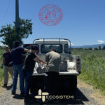 mcm Ecosistemi suolo Universita Padova analisi fertilita 1 NUOVO STUDIO SUI CARATTERI BIOLOGICO MOLECOLARI DEI SUOLI RICOSTITUITI NELL’AZIENDA AGRICOLA SPERIMENTALE FERTILIA ECOSISTEMI